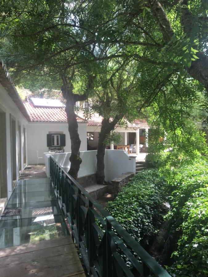 Sintra Center Guest House Escape To Nature Ngoại thất bức ảnh